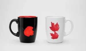 Anna Paciorek design komercyjny